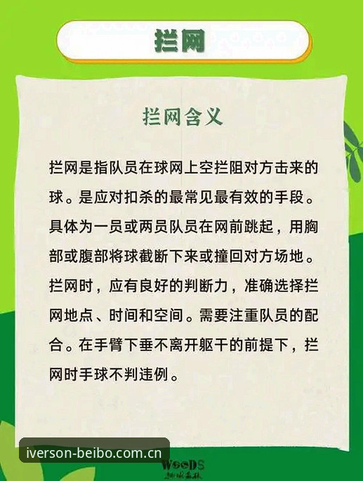 揭秘贝博安全入口常见问题：如何避开陷阱，畅享体育互动新体验